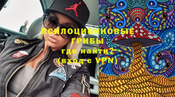 крисы Бронницы