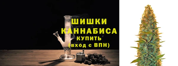 крисы Бронницы