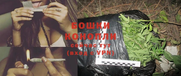 крисы Бронницы