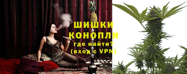 крисы Бронницы