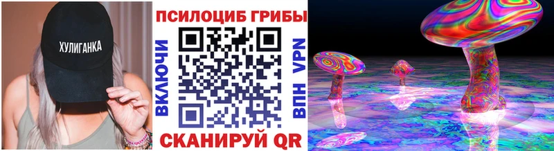 mega рабочий сайт  Черкесск  Галлюциногенные грибы мухоморы 